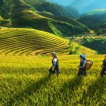 Tour du lịch Tây Bắc 5 ngày 4 đêm